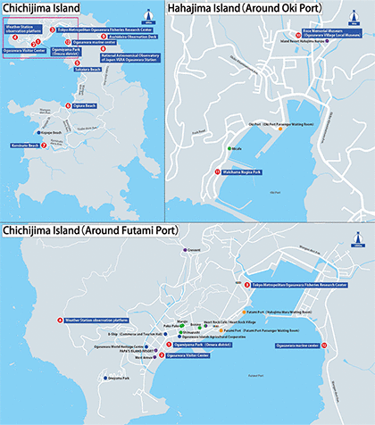 Datailed Map