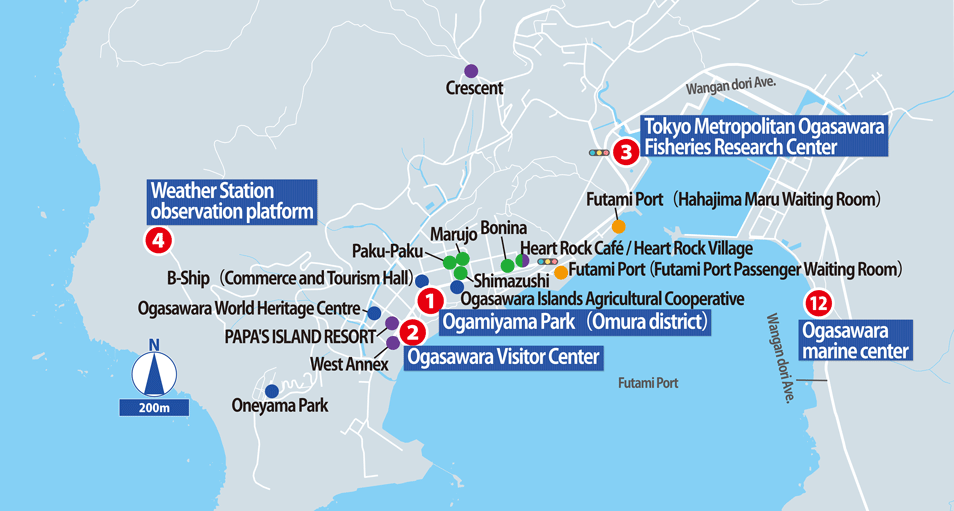 Ogasawara Islands Datailed Map2