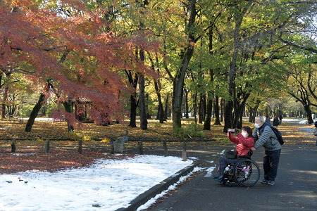 小金井公園