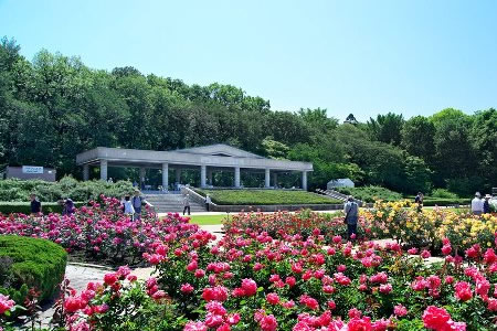 神代植物公園