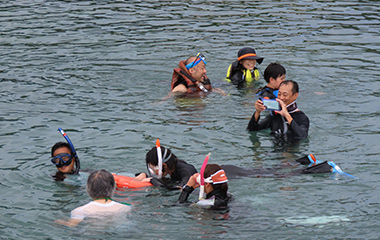 スノーケリングの様子