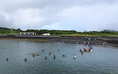 参加者が海で楽しんでいる様子