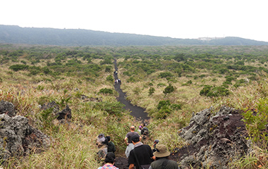 「再生の一本道」を歩く参加者の様子