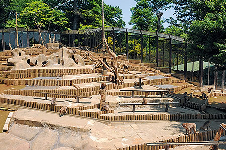 高尾山さる園・野草園