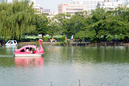 不忍池 