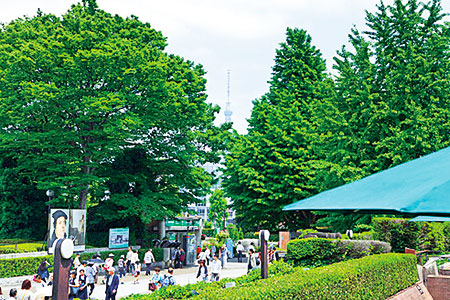 上野恩賜公園 