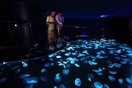 SUMIDA AQUARIUM