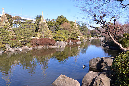 Sumida Park