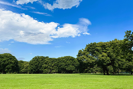 代々木公園
