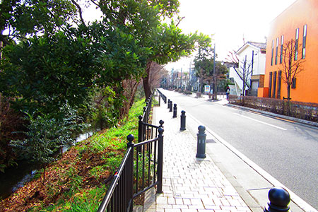 風の散歩道