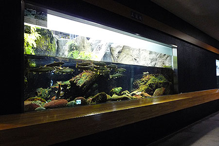 井の頭自然文化園（水生物園）