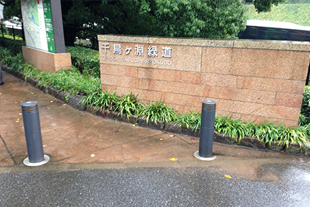 Chidorigafuchi Pedestrian Path