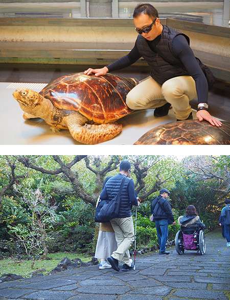 八丈植物公園／八丈ビジターセンター