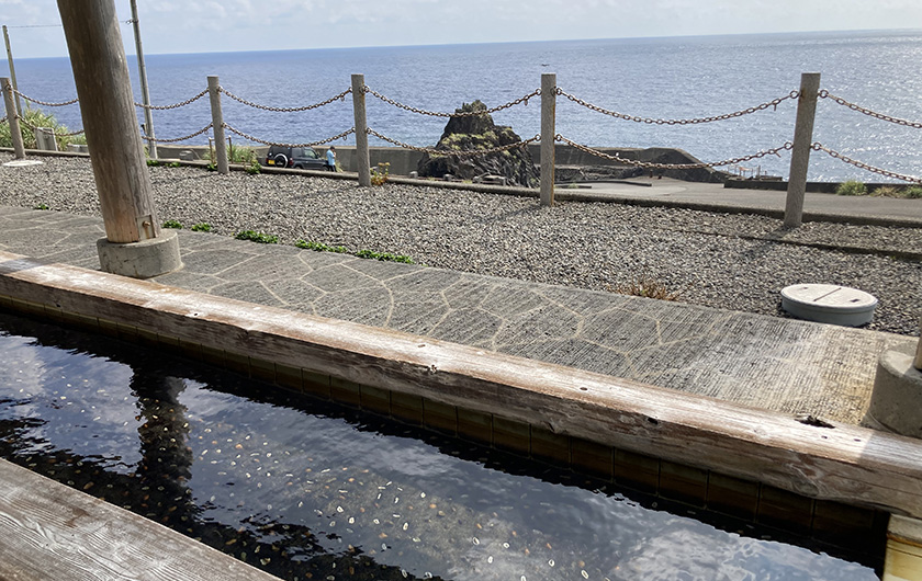 温泉・足湯