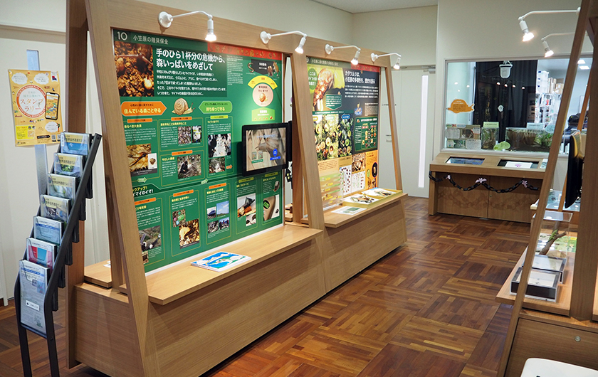 Ogasawara World Heritage Centre