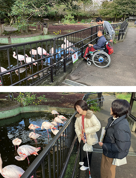 大島公園動物園