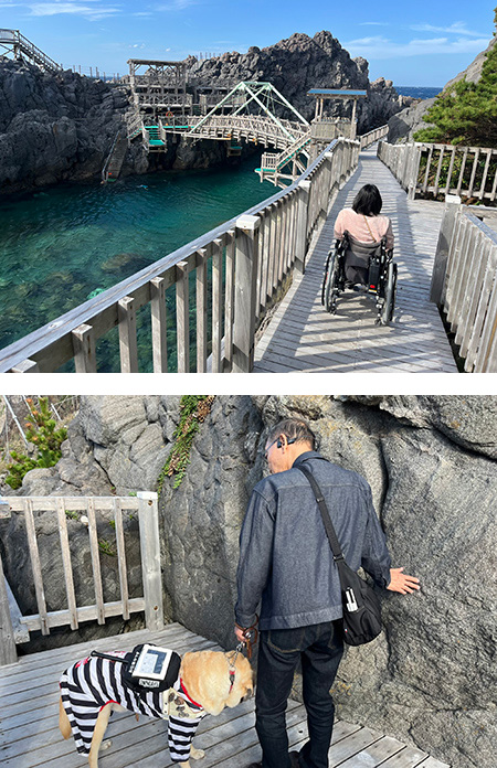 赤崎遊歩道