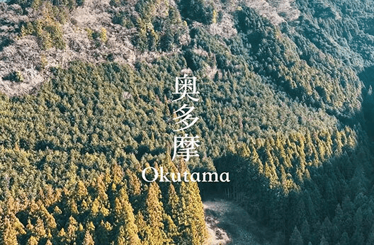 NEWS画像