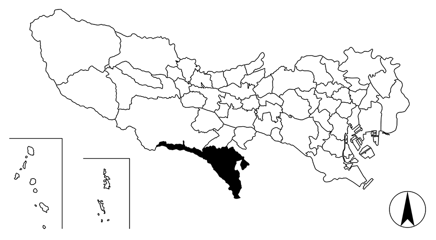 Map画像