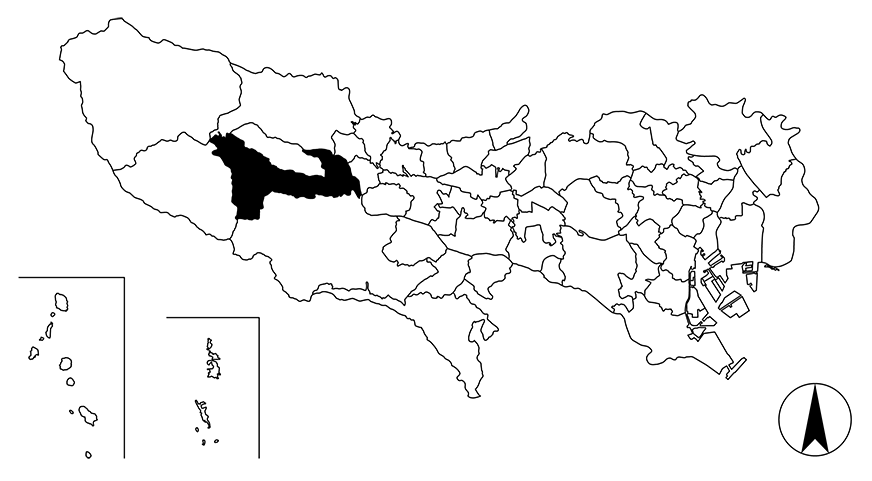 Map画像