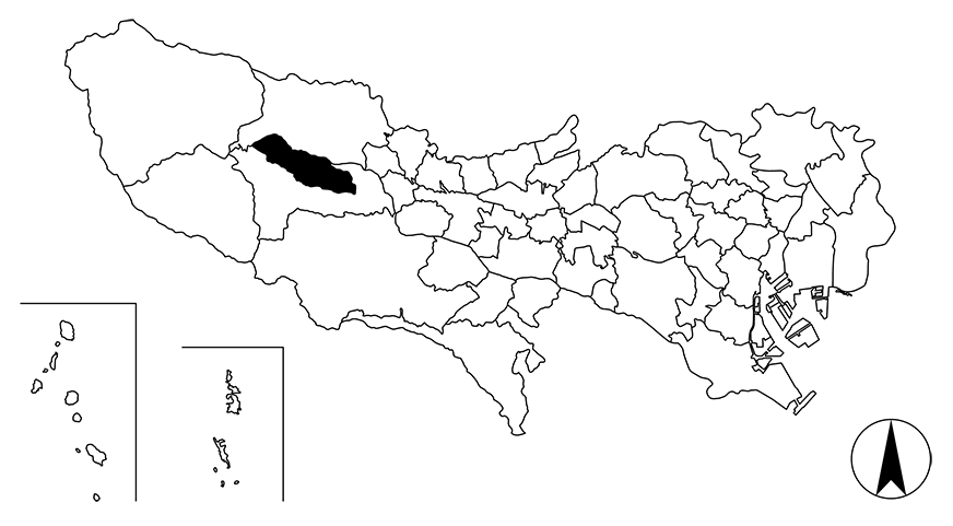 Map画像