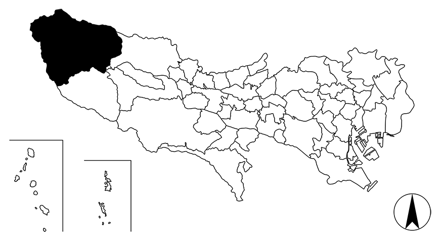 Map画像