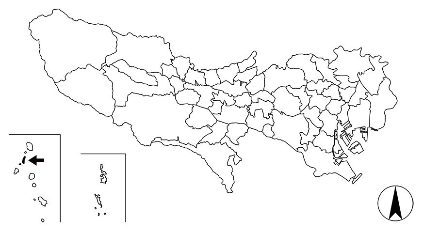 Map画像