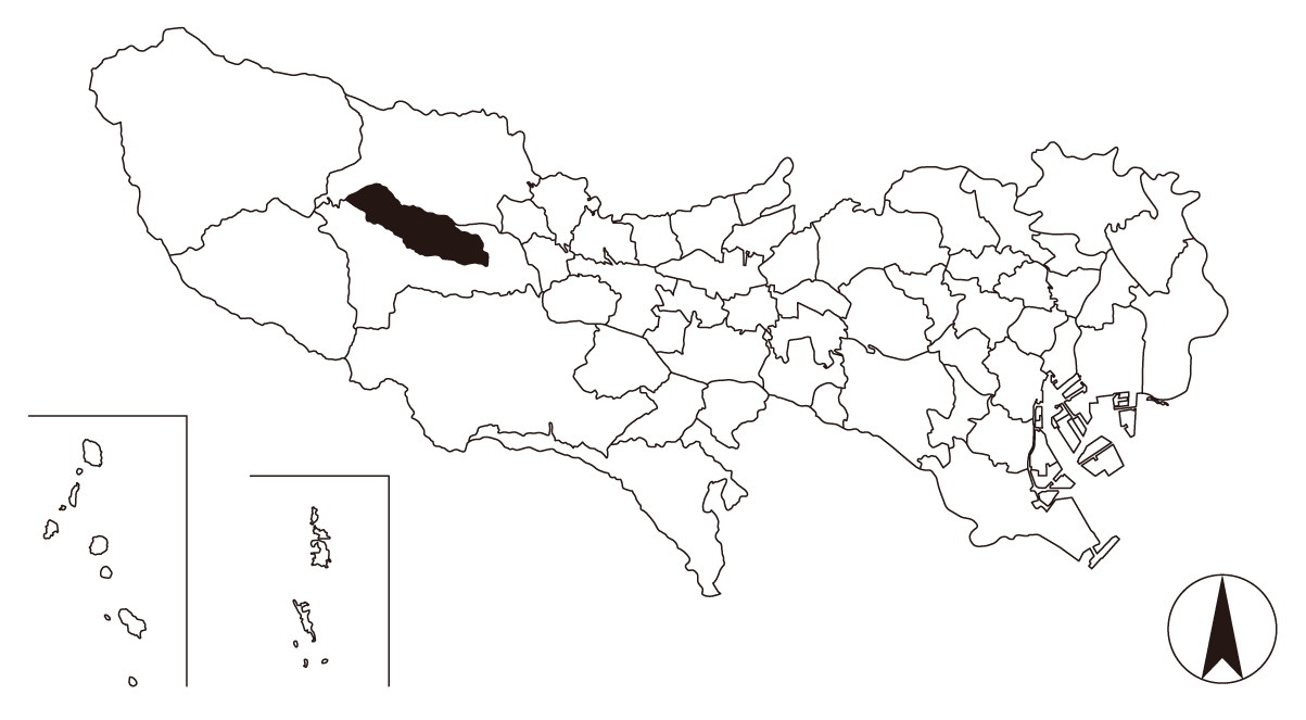 Map画像