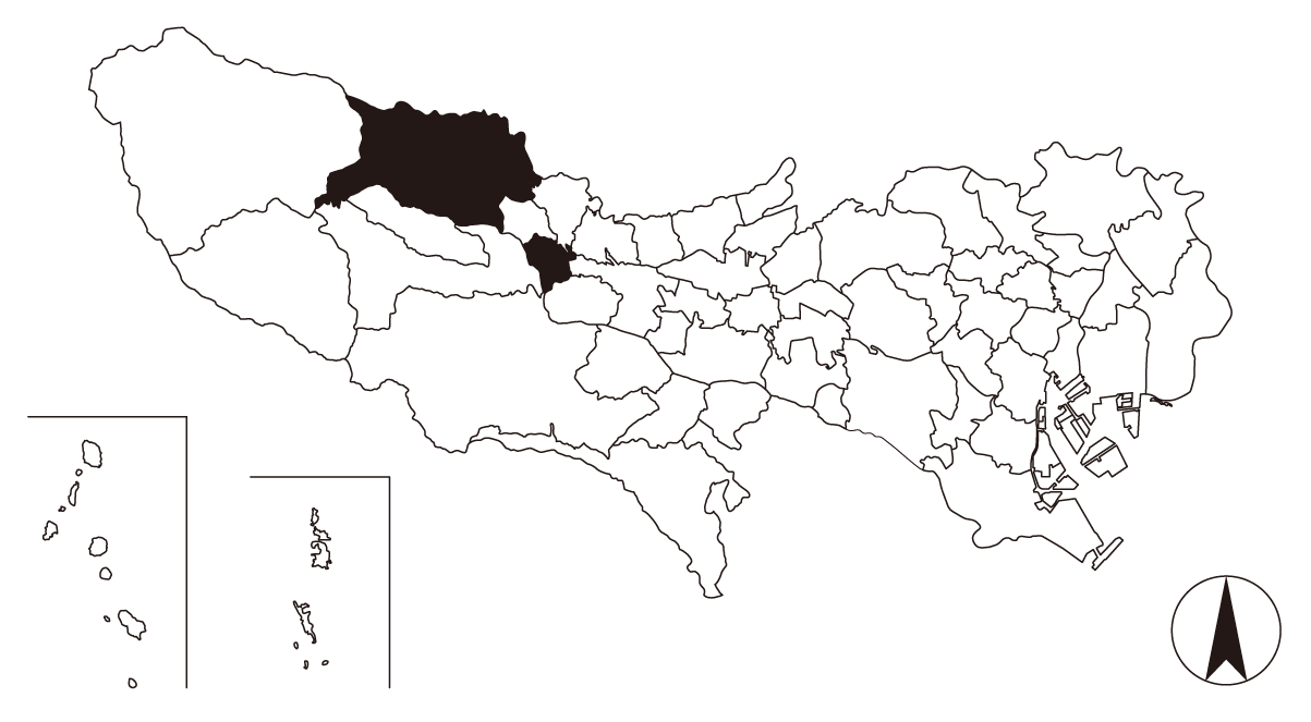 Map画像