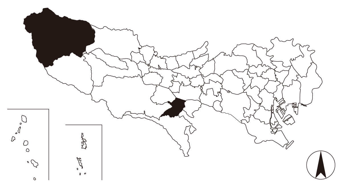 Map画像