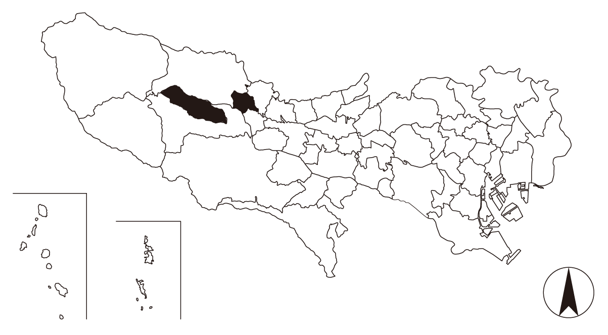 Map画像