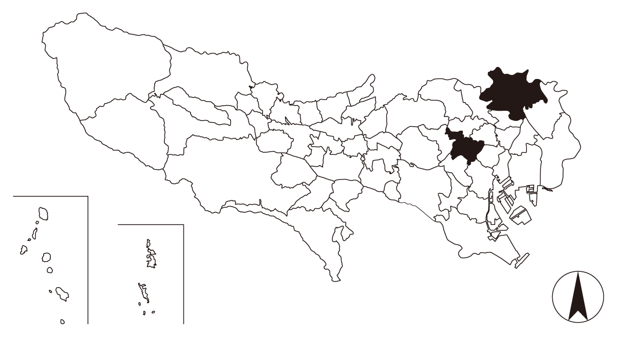 Map画像