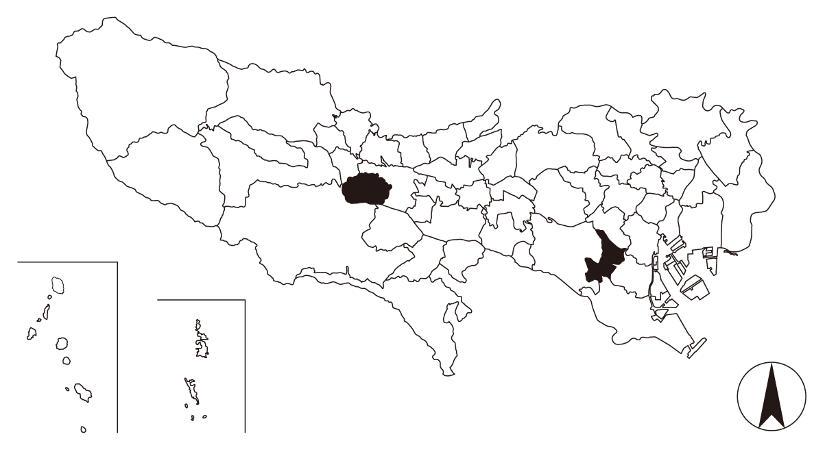 Map画像
